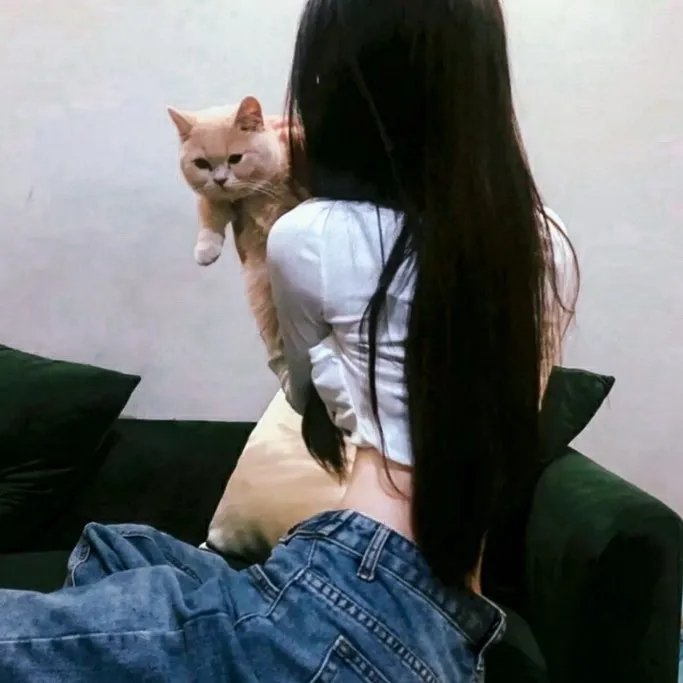 贺顿的小可乐